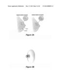 Compositions and Methods for Localized Drug Delivery through Mammary     Papillae diagram and image