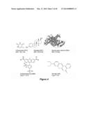 Compositions and Methods for Localized Drug Delivery through Mammary     Papillae diagram and image