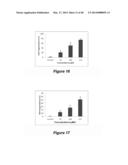 Compositions and Methods for Localized Drug Delivery through Mammary     Papillae diagram and image