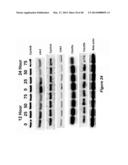 Compositions and Methods for Localized Drug Delivery through Mammary     Papillae diagram and image