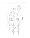 CYTOTOXIC BENZODIAZEPINE DERIVATIVES AND METHODS OF PREPARATION diagram and image