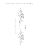 CYTOTOXIC BENZODIAZEPINE DERIVATIVES AND METHODS OF PREPARATION diagram and image