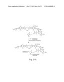 CYTOTOXIC BENZODIAZEPINE DERIVATIVES AND METHODS OF PREPARATION diagram and image