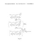 CYTOTOXIC BENZODIAZEPINE DERIVATIVES AND METHODS OF PREPARATION diagram and image