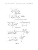 CYTOTOXIC BENZODIAZEPINE DERIVATIVES AND METHODS OF PREPARATION diagram and image