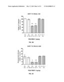 Muscarinic Agonists as Enhancers of Working Memory and Cognitive     Flexibility diagram and image