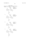 HSP90 Inhibitors diagram and image