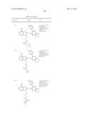 HSP90 Inhibitors diagram and image