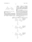 HSP90 Inhibitors diagram and image