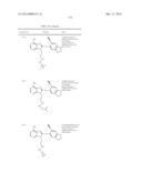 HSP90 Inhibitors diagram and image