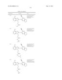 HSP90 Inhibitors diagram and image