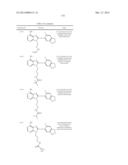 HSP90 Inhibitors diagram and image