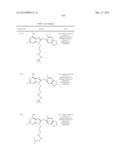 HSP90 Inhibitors diagram and image