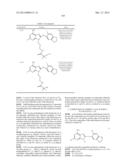 HSP90 Inhibitors diagram and image