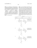 HSP90 Inhibitors diagram and image