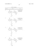 HSP90 Inhibitors diagram and image