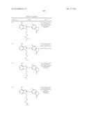 HSP90 Inhibitors diagram and image