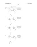 HSP90 Inhibitors diagram and image