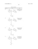 HSP90 Inhibitors diagram and image