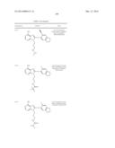 HSP90 Inhibitors diagram and image