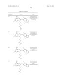 HSP90 Inhibitors diagram and image