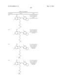 HSP90 Inhibitors diagram and image