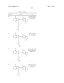 HSP90 Inhibitors diagram and image