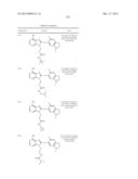 HSP90 Inhibitors diagram and image