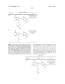 HSP90 Inhibitors diagram and image