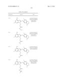 HSP90 Inhibitors diagram and image