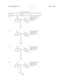 HSP90 Inhibitors diagram and image