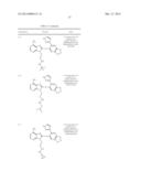 HSP90 Inhibitors diagram and image