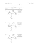 HSP90 Inhibitors diagram and image