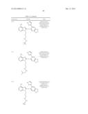 HSP90 Inhibitors diagram and image