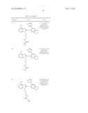 HSP90 Inhibitors diagram and image