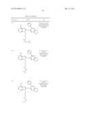 HSP90 Inhibitors diagram and image