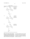 HSP90 Inhibitors diagram and image