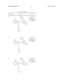 HSP90 Inhibitors diagram and image