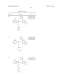 HSP90 Inhibitors diagram and image