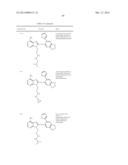 HSP90 Inhibitors diagram and image