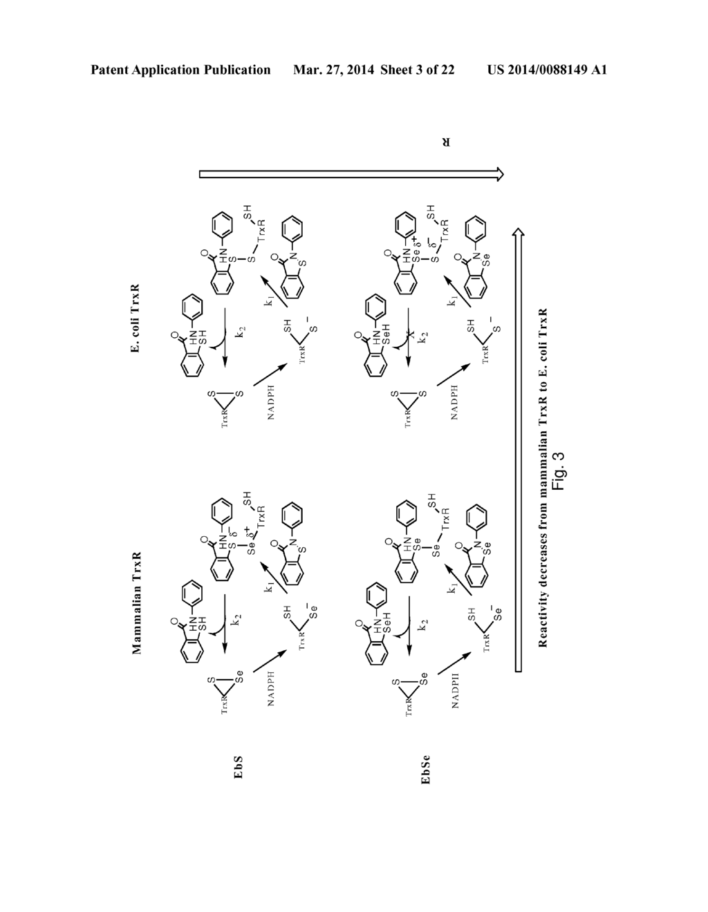 BACTERIAL THIOREDOXIN REDUCTASE INHIBITORS AND METHODS FOR USE THEREOF - diagram, schematic, and image 04