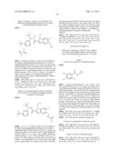 INDOLECARBOXAMIDES AND BENZIMIDAZOLECARBOXAMIDES AS INSECTICIDES AND     ACARICIDES diagram and image