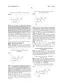 INDOLECARBOXAMIDES AND BENZIMIDAZOLECARBOXAMIDES AS INSECTICIDES AND     ACARICIDES diagram and image