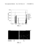 TRANSDUCTION OF CELLS BY ADENO-ASSOCIATED VIRUS VECTORS diagram and image