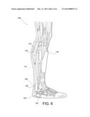 PROPRIOCEPTIVE TOPICAL LEG GEAR AND METHODS OF USE diagram and image