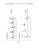 Powered Ankle-Foot Prosthesis diagram and image