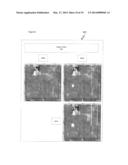 METHODS, APPARATUS AND SYSTEMS FOR DETERMINING STAND POPULATION, STAND     CONSISTENCY AND STAND QUALITY IN AN AGRICULTURAL CROP AND ALERTING USERS diagram and image