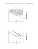 SYSTEM AND METHOD OF DISPLAYING SEARCH RESULTS BASED ON DENSITY diagram and image