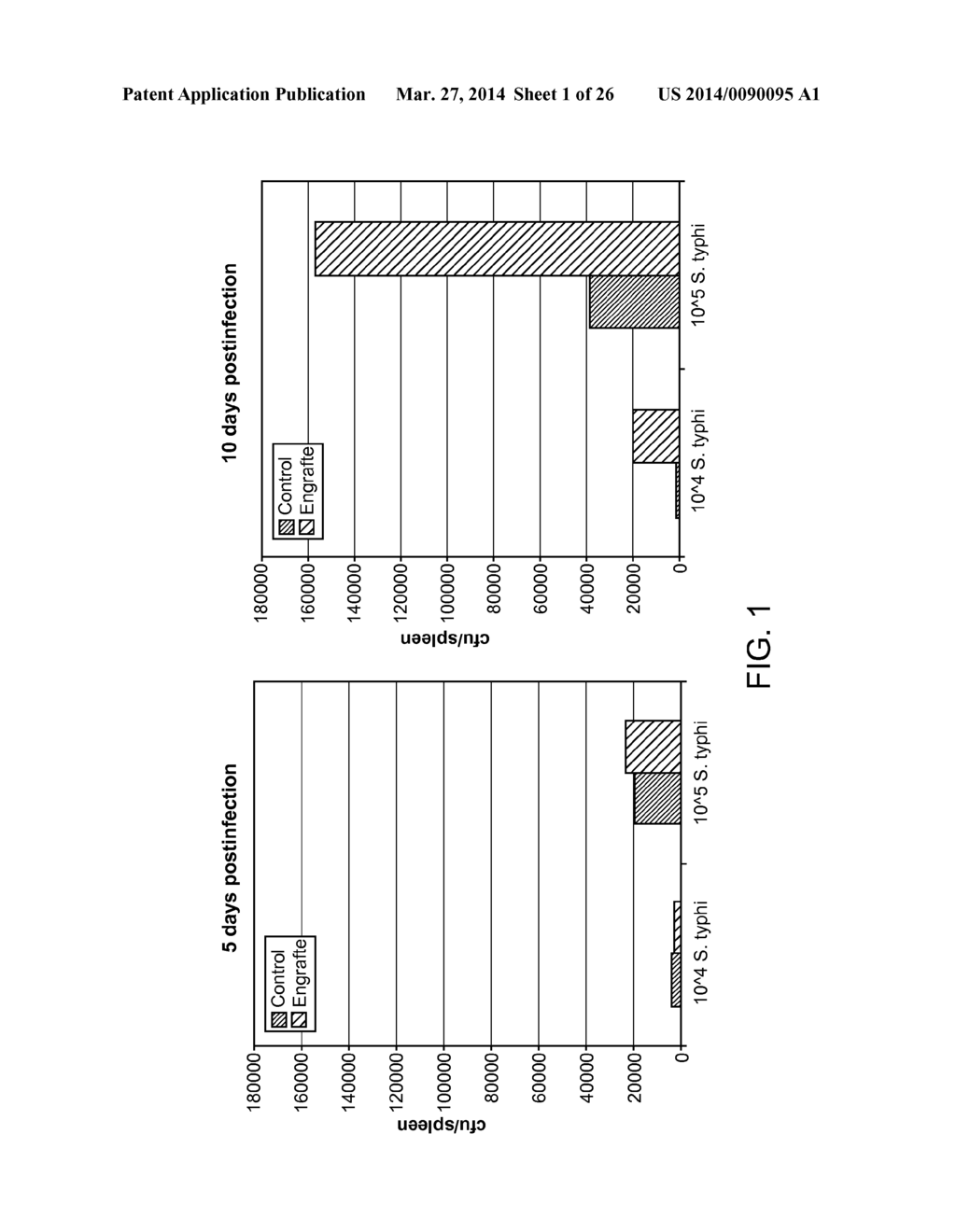 Genetically Modified Mice and Engraftment - diagram, schematic, and image 02