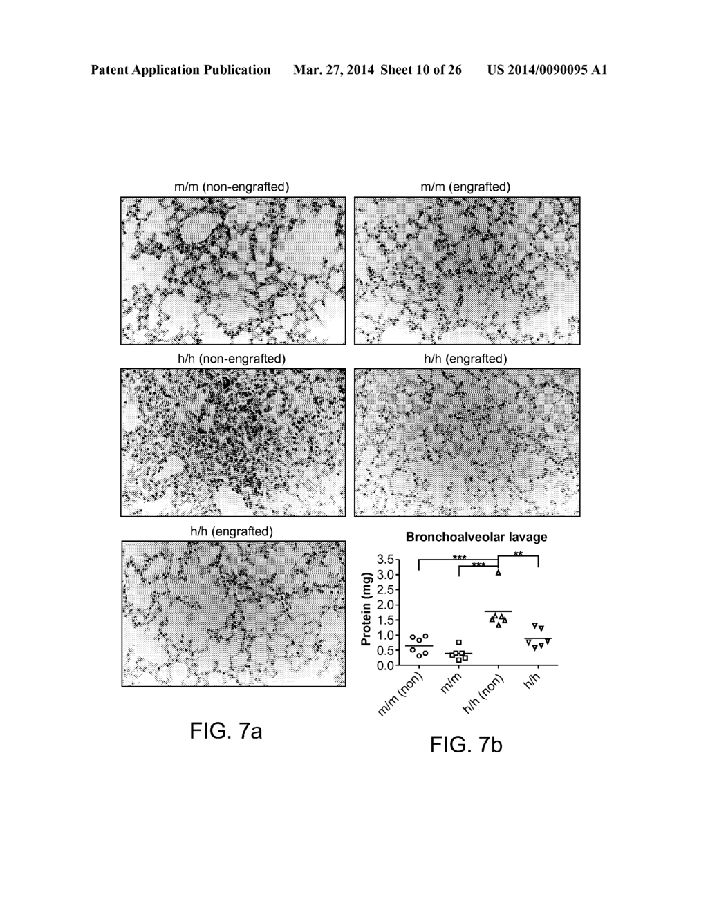 Genetically Modified Mice and Engraftment - diagram, schematic, and image 11